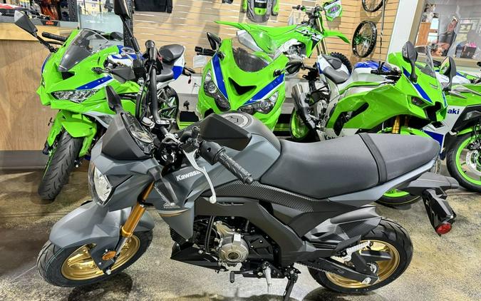 2024 Kawasaki Z125 PRO