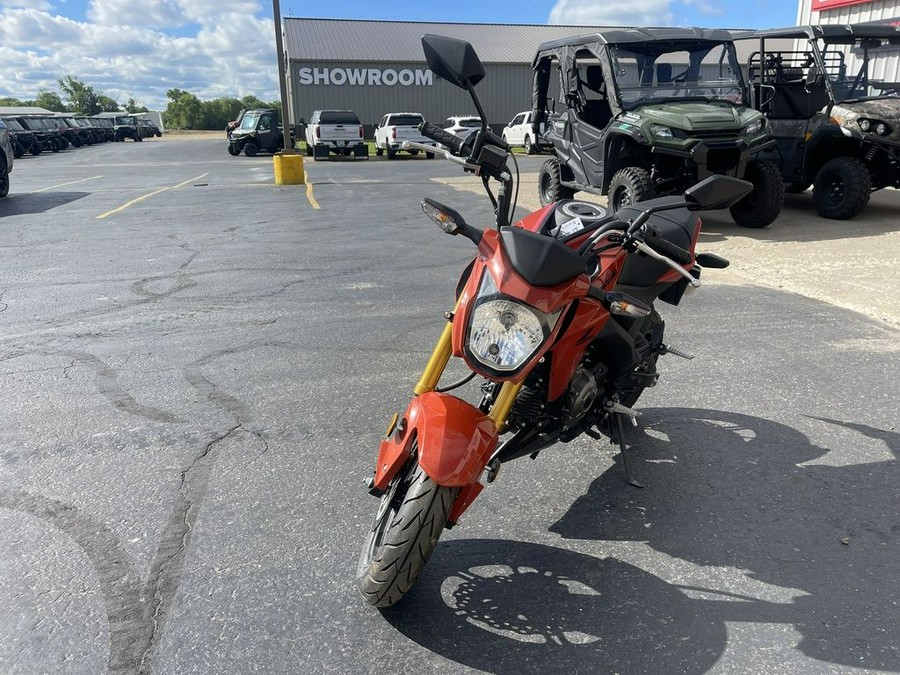 2025 Kawasaki Z125 PRO
