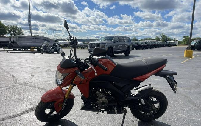 2025 Kawasaki Z125 PRO