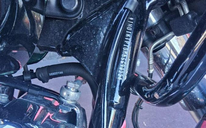 2021 Harley-Davidson Road Glide® Special