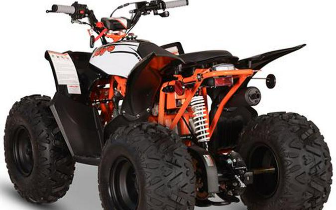 2027 Kayo Storm 110