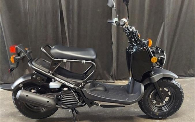 2024 Honda Ruckus