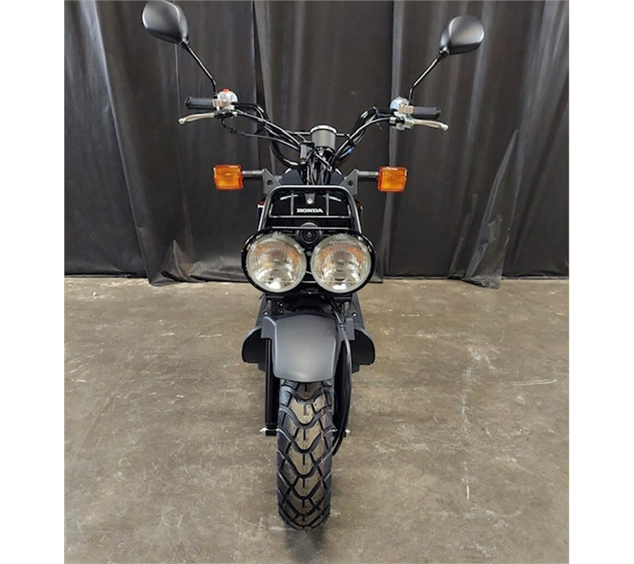 2024 Honda Ruckus