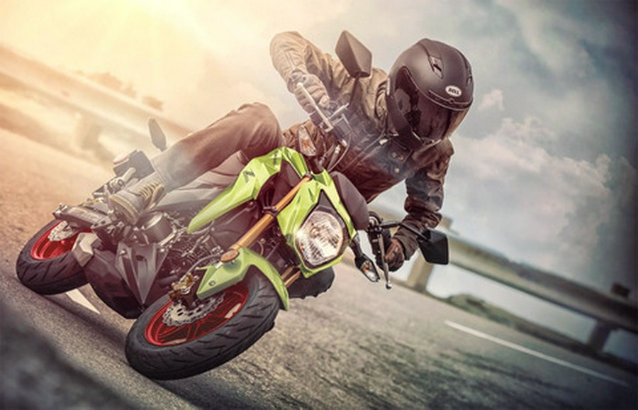 2027 Kawasaki Z125 PRO