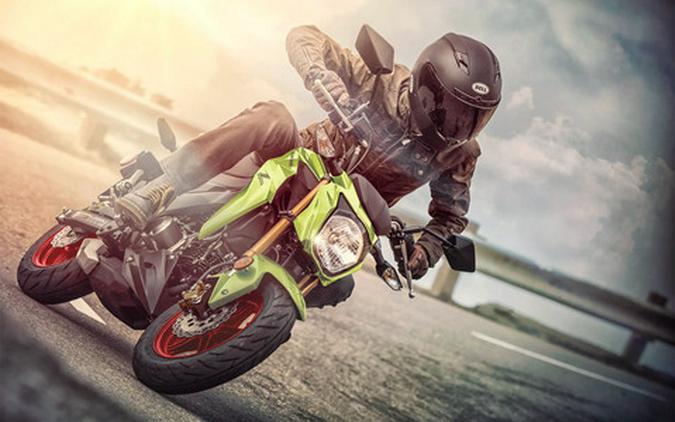 2027 Kawasaki Z125 PRO