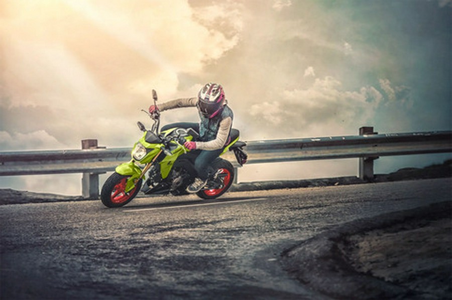 2027 Kawasaki Z125 PRO