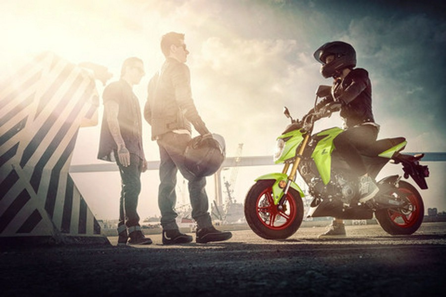 2027 Kawasaki Z125 PRO