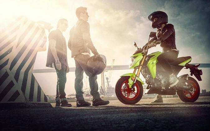 2027 Kawasaki Z125 PRO