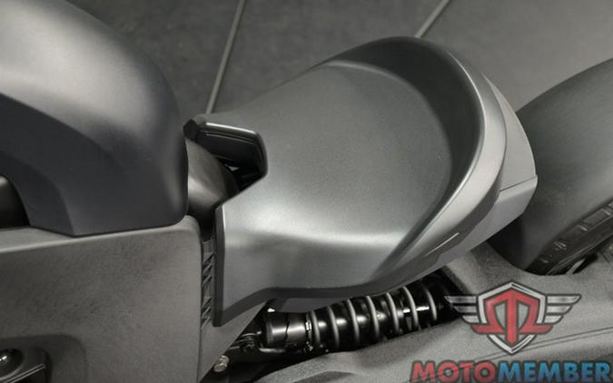 2025 Can-Am Ryker Rotax 600 ACE Exclusive Panel Kits