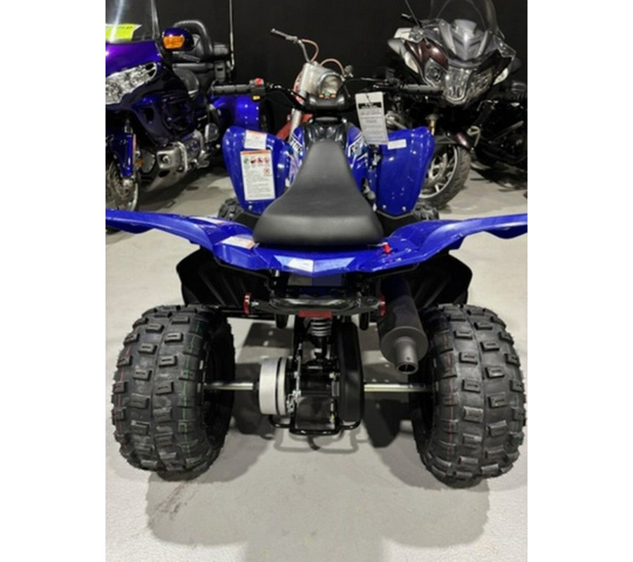 2026 Yamaha Raptor 110