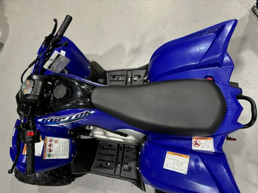 2026 Yamaha Raptor 110