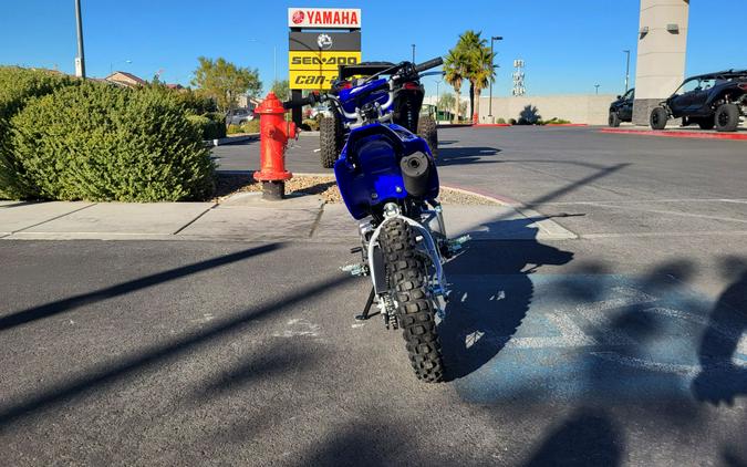 2026 Yamaha Motor Corp., USA TT-R110E