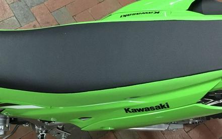 2025 Kawasaki KLX®230R S
