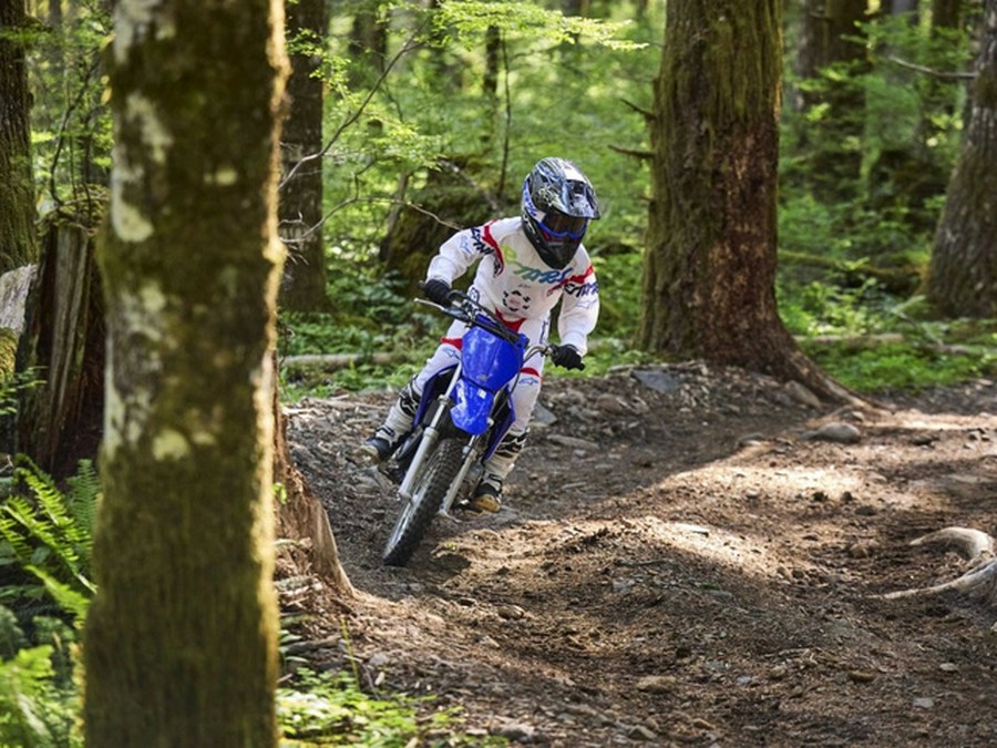 2026 Yamaha TT-R 110E