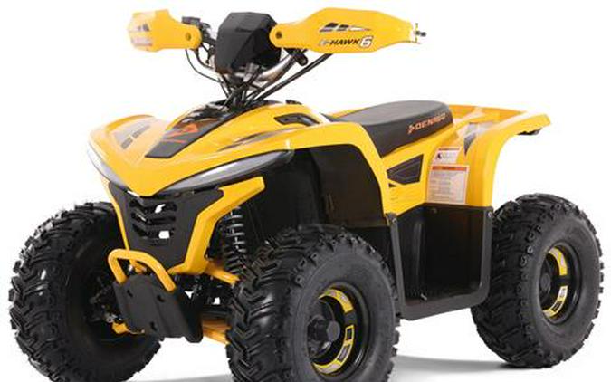 2026 Denago Powersports E-Hawk 6