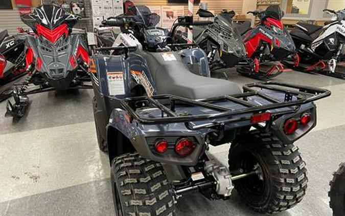 2024 Kawasaki Brute Force 300