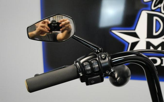 2021 Harley-Davidson® XL883N - Iron 883™