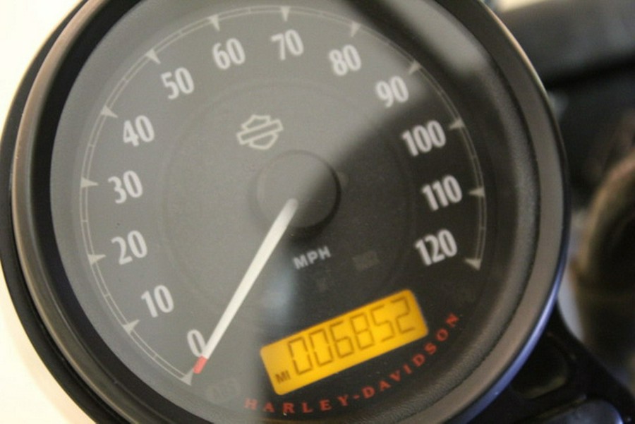 2020 Harley-Davidson XL883N - Sportster Iron 883