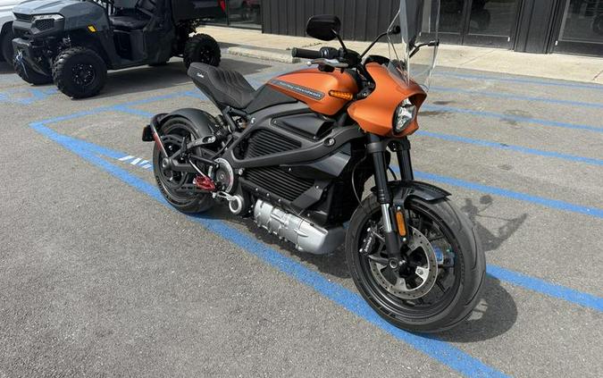 2020 Harley-Davidson® ELW - LiveWire™
