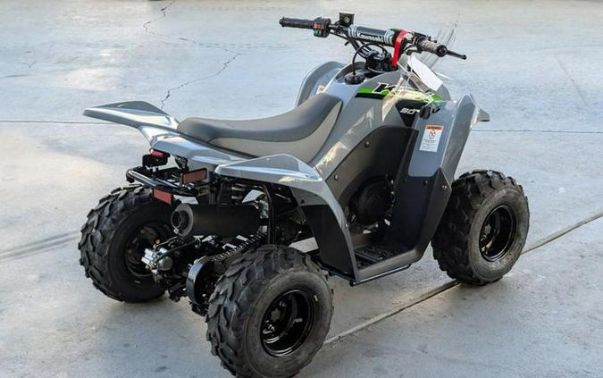 2025 Kawasaki KFX®50