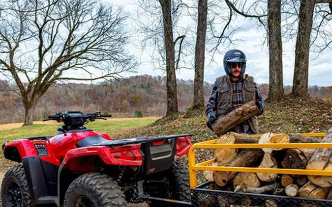 2026 Honda FourTrax Rubicon 700 4x4 Automatic