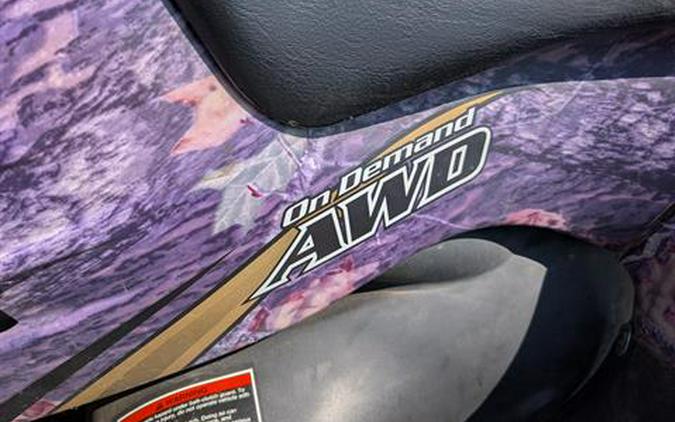 2004 Polaris Sportsman 700 Twin