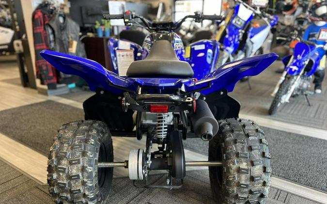 2023 Yamaha Raptor 90