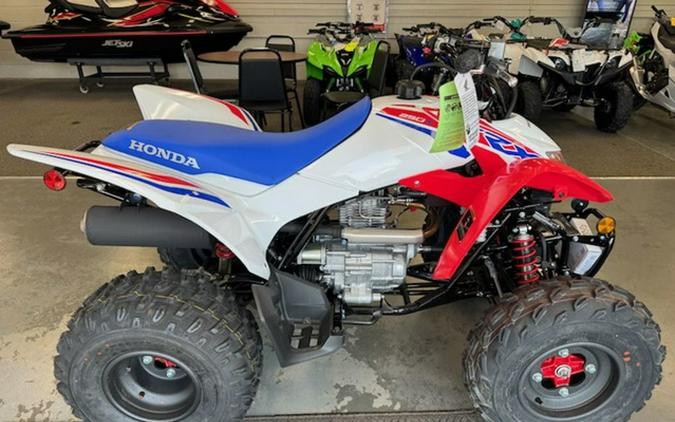 2026 Honda TRX 250X