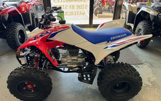2026 Honda TRX 250X