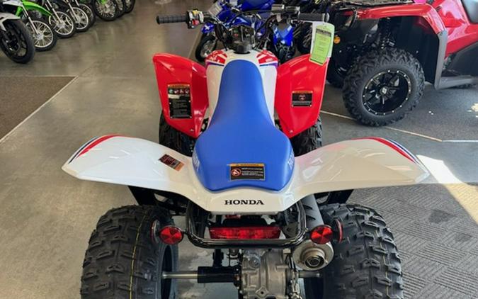 2026 Honda TRX 250X
