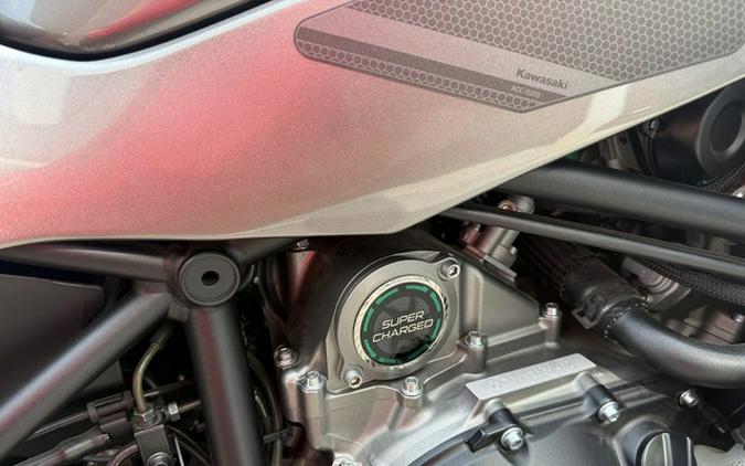 2019 Kawasaki Ninja H2 SX SE