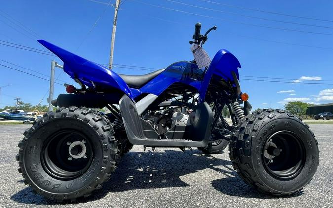 2024 Yamaha Raptor 110