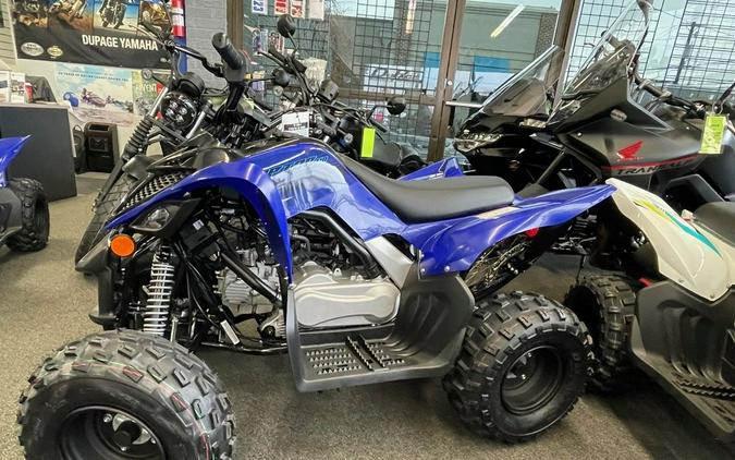 2024 Yamaha Raptor 110