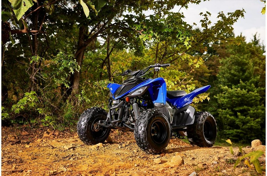 2022 Yamaha Raptor 90