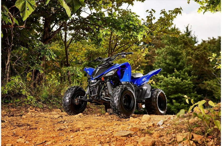 2022 Yamaha Raptor 90