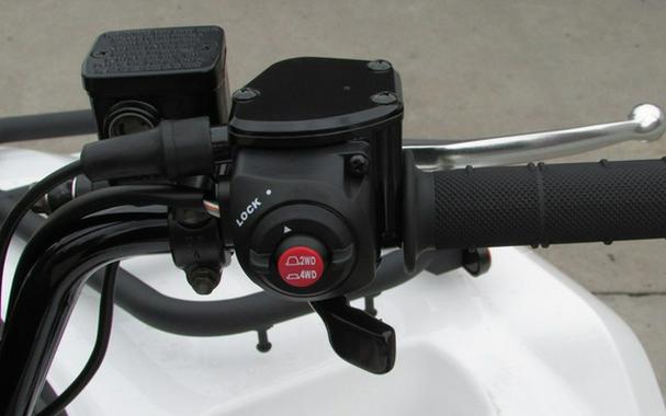 2025 Kawasaki Brute Force 450 4x4