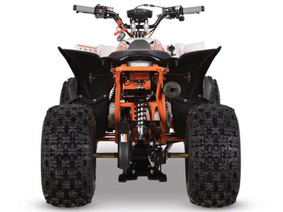 2025 Kayo Predator 125 EFI
