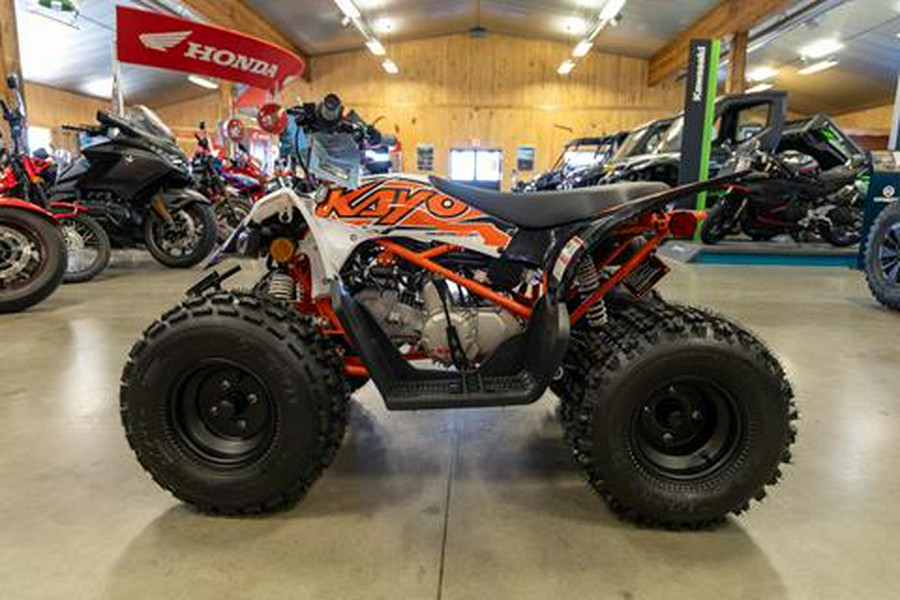 2025 Kayo Predator 125 EFI