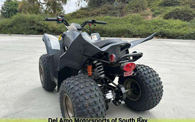 2023 Kymco MONGOOSE 90S