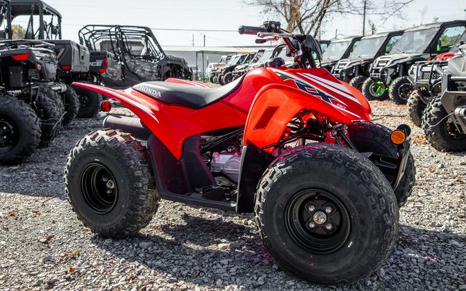 2025 Honda® TRX90X