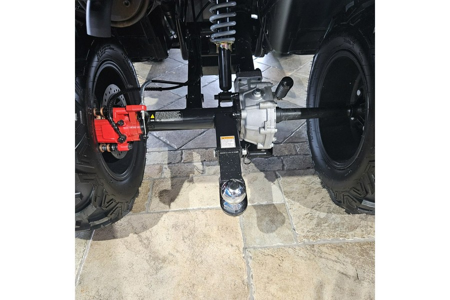 2025 Denago Powersports FREELANDER 300