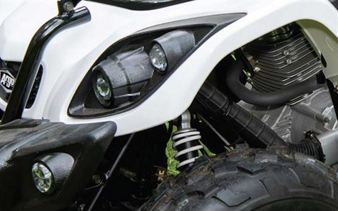 2025 Argo Xplorer XR 150