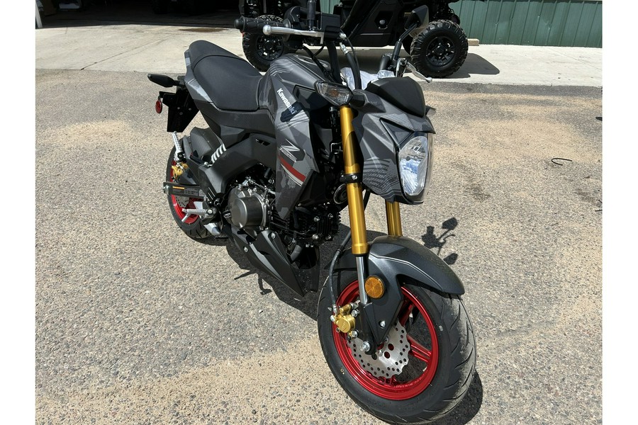 2024 Kawasaki Z125 PRO