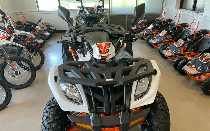 2026 Kayo Bull 300 EFI