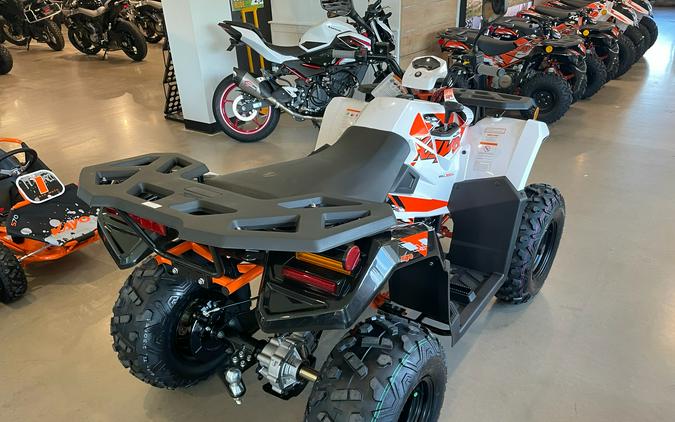 2026 Kayo Bull 300 EFI