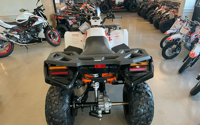 2026 Kayo Bull 300 EFI