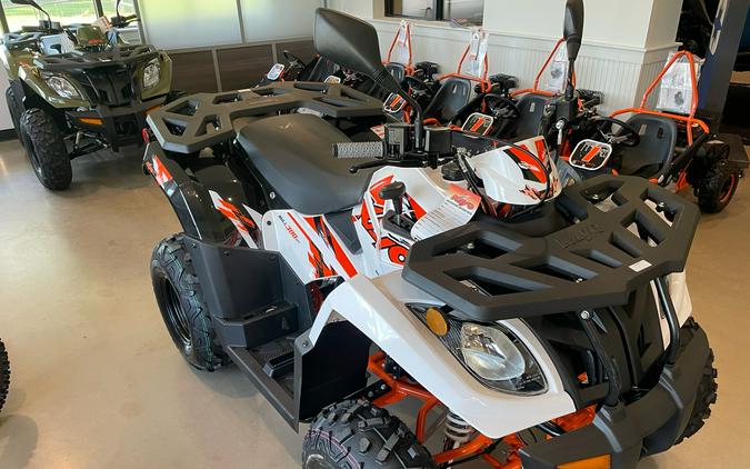 2026 Kayo Bull 300 EFI