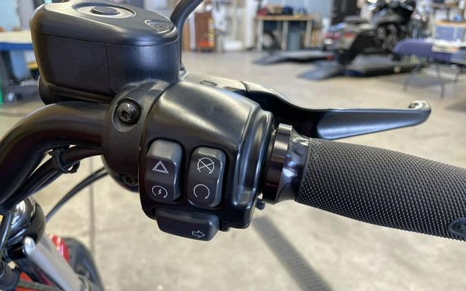 2019 Harley-Davidson XL 883N - Sportster Iron 883