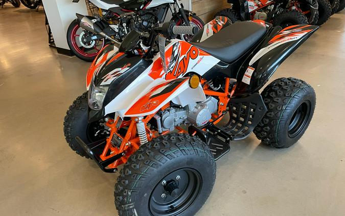 2026 Kayo Storm 150 EFI