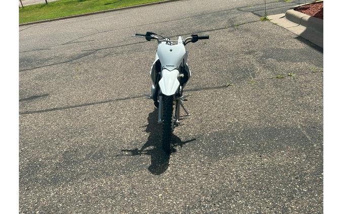 2026 Kawasaki KLX 110R